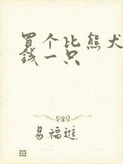 买个比熊犬多少钱一只