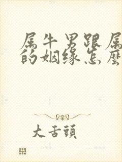 属牛男跟属猪女的姻缘怎么样