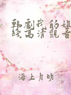 韩剧我的姐姐在线高清观看