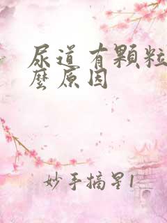 尿道有颗粒是什么原因