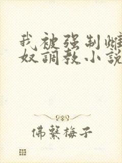 我被强制雌堕肉奴调教小说