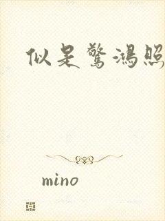 似是惊鸿照影来