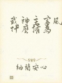 武神主宰风少羽什么修为