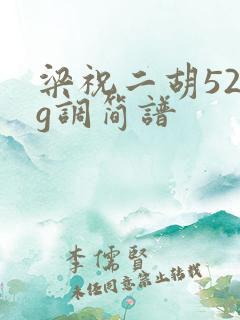 梁祝二胡52弦g调简谱