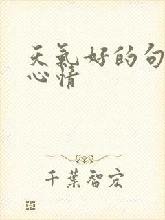 天气好的句子和心情