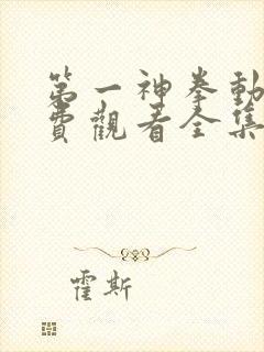 第一神拳动漫免费观看全集