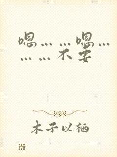 嗯……嗯……啊……不要