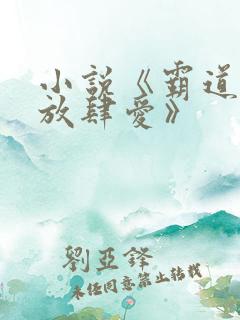 小说《霸道总裁放肆爱》