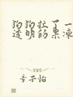 狗狗拉了一小坨透明的果冻