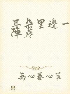 耳朵里边一阵一阵疼