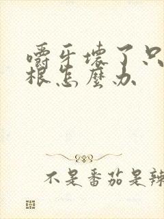 嚼牙坏了只剩牙根怎么办