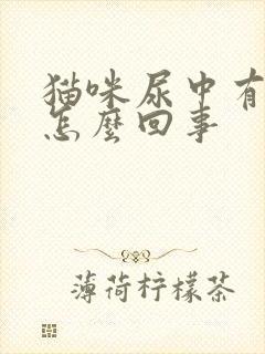 猫咪尿中有血是怎么回事