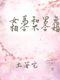 女马和男兔的属相合不合婚姻