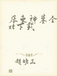 辰东神墓全本txt下载