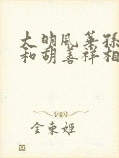 大明风华孙若微和胡善祥相认了吗