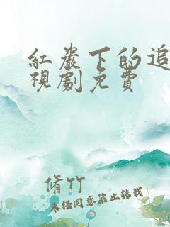 红岩下的追捕电视剧免费