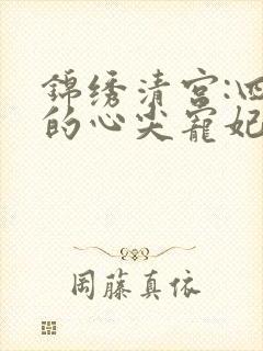 锦绣清宫:四爷的心尖宠妃