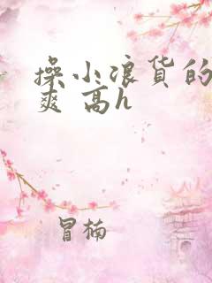 操小浪货的穴好爽 高h