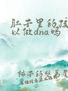 肚子里的孩子可以做dna吗