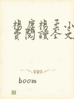 杨尘杨柔小说免费阅读全文