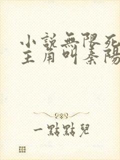 小说无限死士 主角叫秦阳