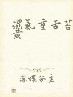 湿气重舌苔白厚黄