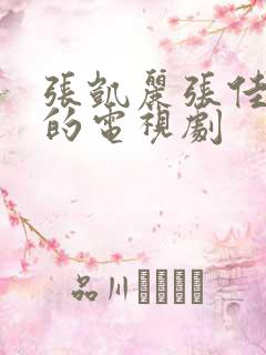 张凯丽张佳宁演的电视剧