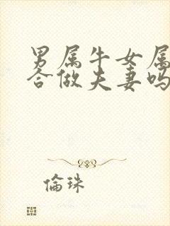 男属牛女属羊适合做夫妻吗