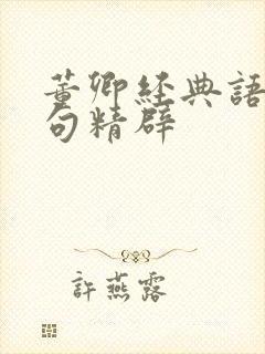 董卿经典语录句句精辟