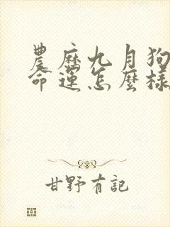 农历九月狗女的命运怎么样