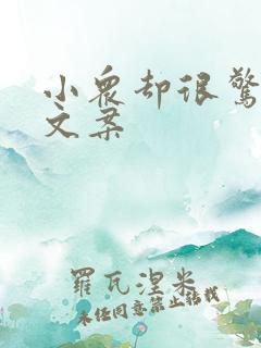 小众却很惊艳的文案