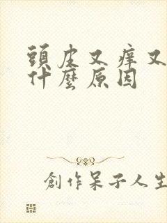 头皮又痒又油是什么原因