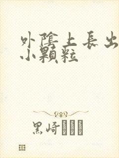 外阴上长出一些小颗粒