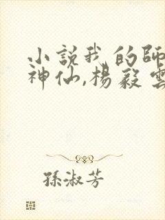 小说我的师傅是神仙,杨毅云