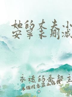 她的丈夫小说盛安宁未删减版