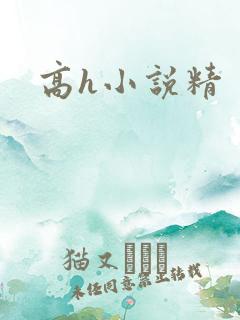 高h小说精