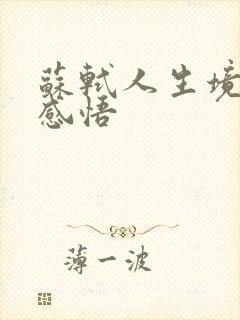 苏轼人生境界的感悟