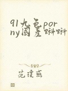 91九色porny国产蝌蚪中文精品