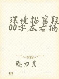 环境描写段落200字左右摘抄