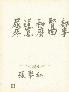 尿道和肾部有点疼怎么回事