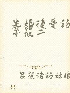 先婚后爱的小说梦筱二
