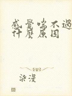 感觉喘不过气是什么原因