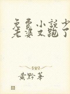 免费小说少帅你老婆又跑了