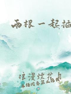 两根一起插小说