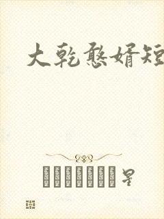 大乾憨婿短剧版