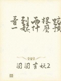 看到两根蛇缠在一起什么预兆