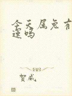 今天属兔有偏财运吗