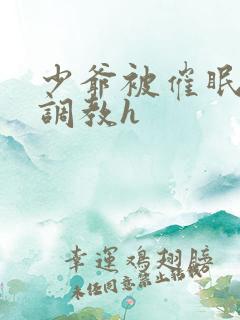 少爷被催眠玩弄调教h