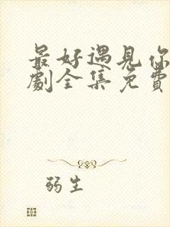 最好遇见你电视剧全集免费观看