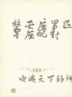 双子座男匹配的星座配对